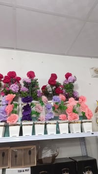 الورد • يمين • الديوانية