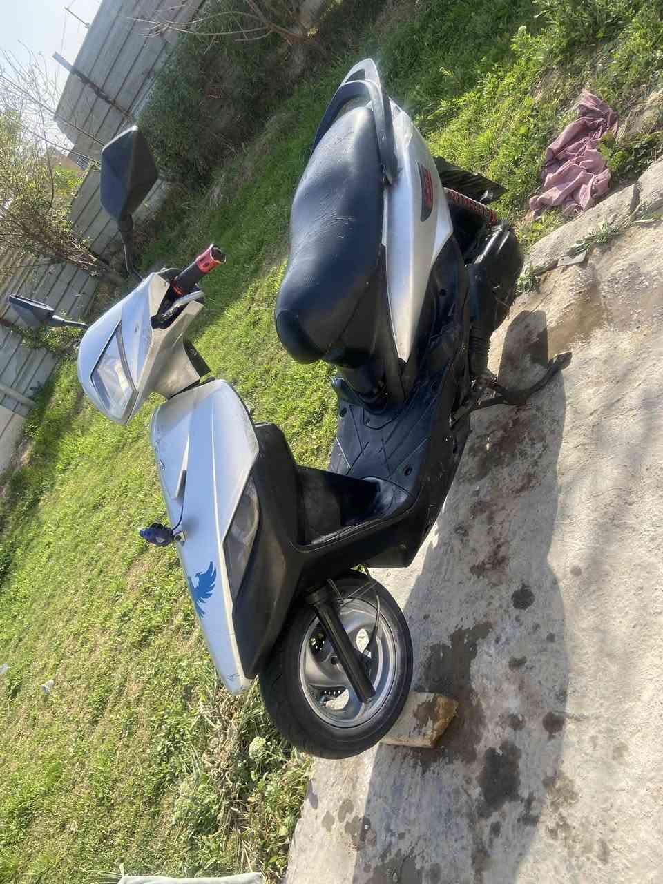 سلام عليكم ثعلب للبيع السعر 400وبيها مجال /العنوان بغداد/الشرطة الخامسة ***********
