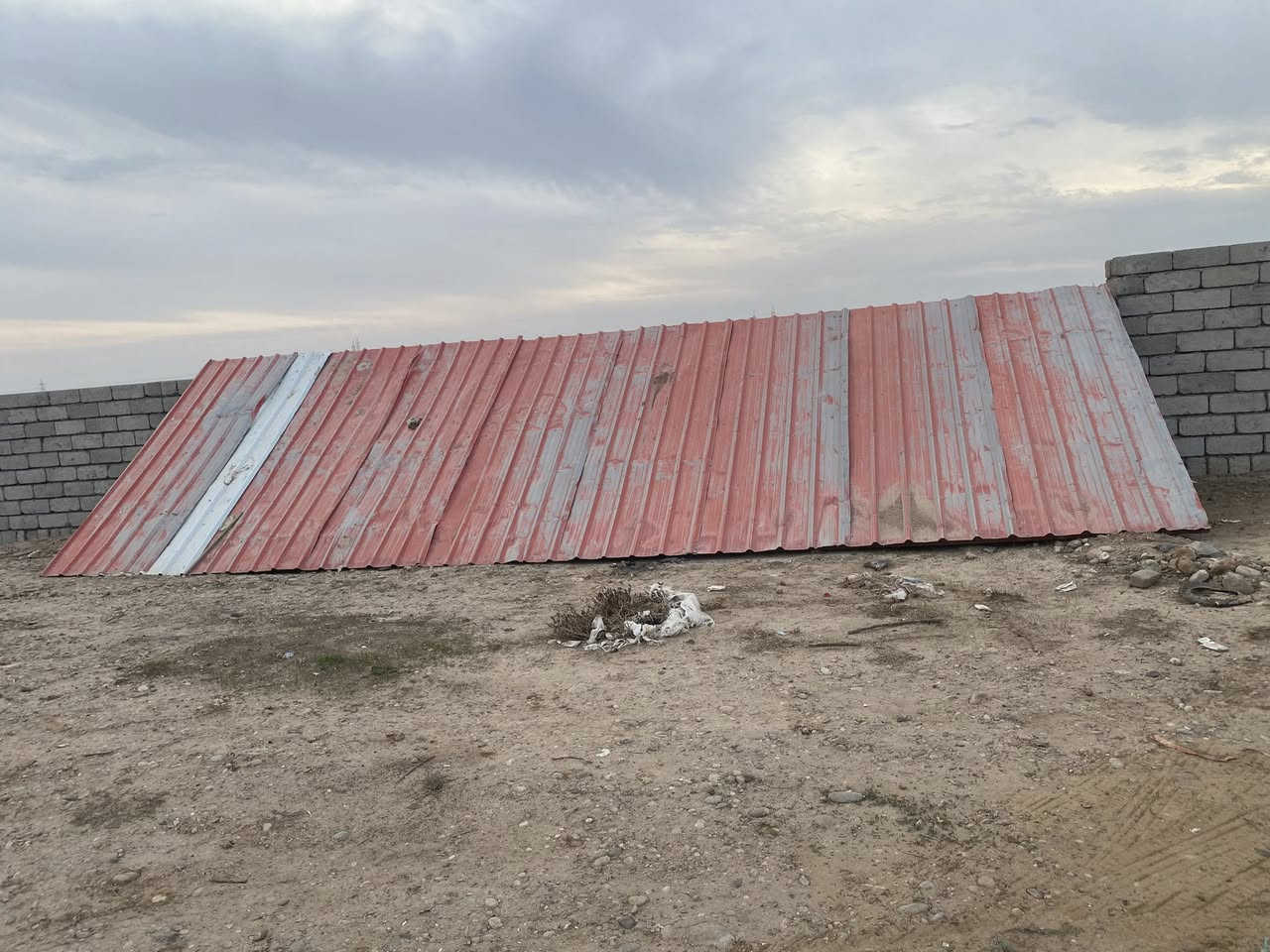 السلام عليكم قمريه للبيع الطول 9 العرض3 ***********
