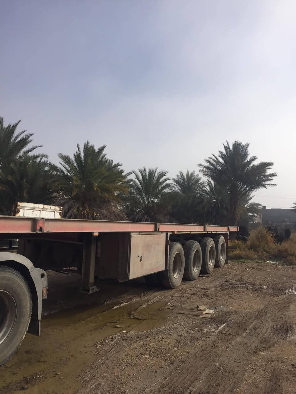 عربانه للبيع 
***********
