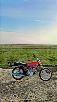 اوراق • تعميره 25 • ناحية الحمار