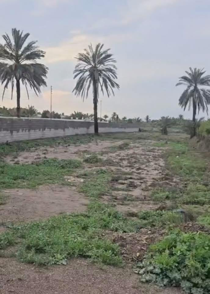 دونم زراعي للبيع بمدخل واحد مقابيل مشروع الماء الصغير واصله خدمات ( ماء - كهرباء - تبليط )  الوجه17 وانزال 147
‏‭***********‬
