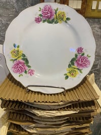 درزن مواعين • ٢٣ سم • بالكارتون