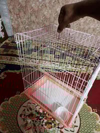 قفص • حديد ثقيل • حي لحكم