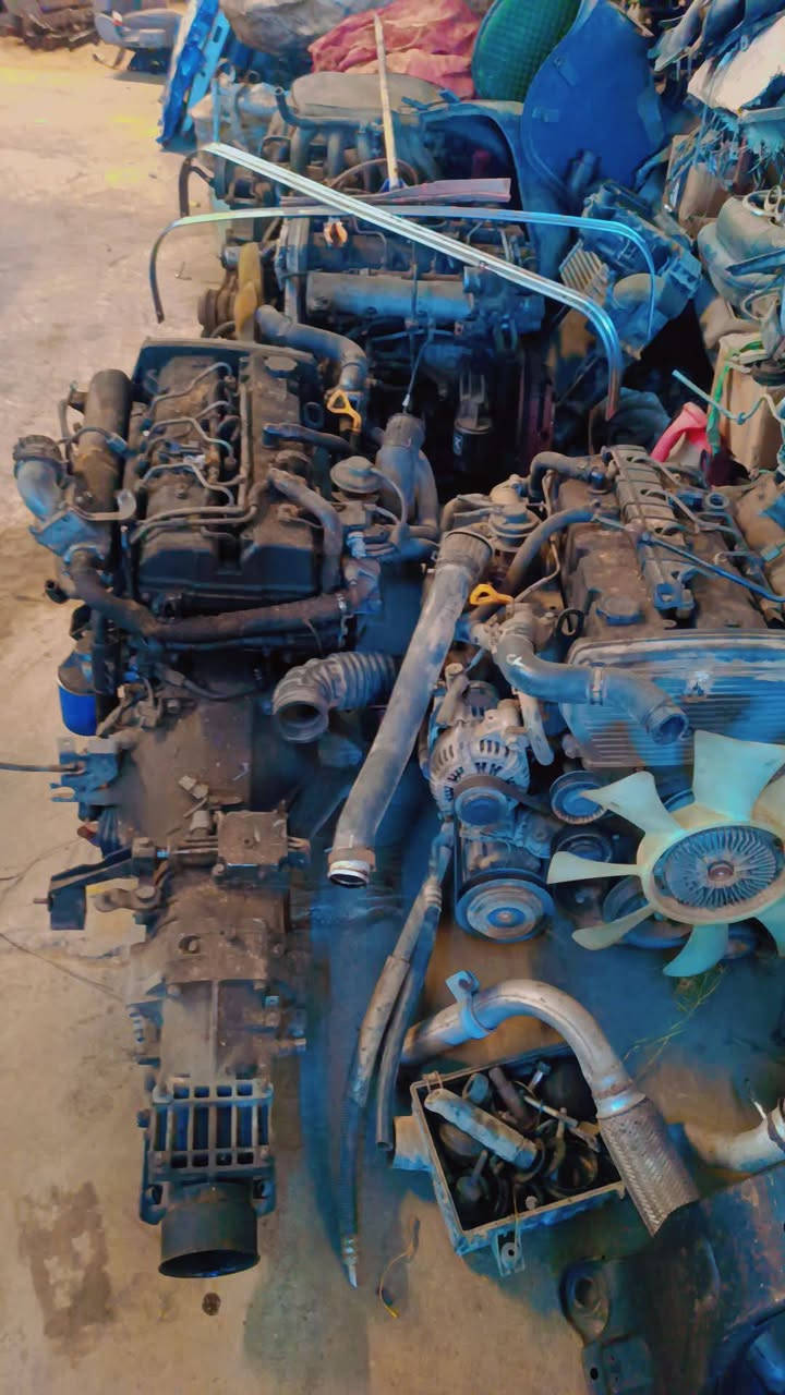 سلام عليكم يوجد لدينه بريجو منغولي العنوان حله طهمازيه قرب علويه شريفه ع
الاتصال على الرقم بدون مراسلات 
***********
***********
