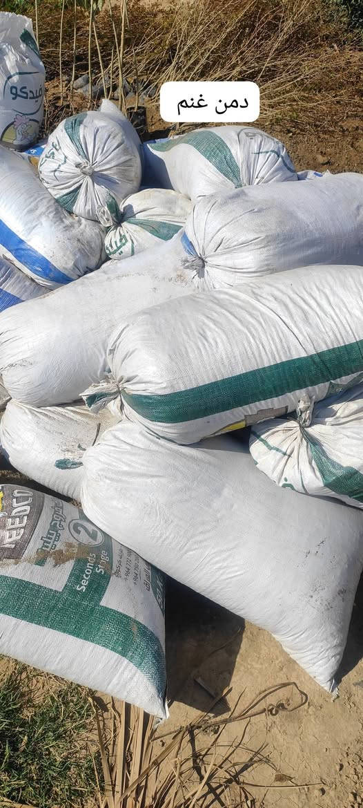 مشتل دخل ناحيه كنعان منطقه البدعه
يتوفر أشجار الحمضيات بأنواعها برتقال رارنج عنب حامض ..
يتوفر اشجار الورود السلطاني وغيرها ..
بانسب الاسعار 
جمله ومفرد 
للاستفسار الاتصال على الرقم التالي:***********
