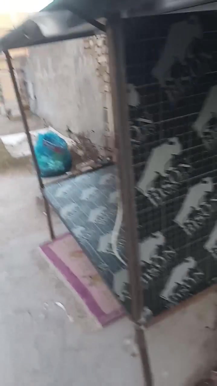 السلام عليكم محجر ستوته شحن للبيع نظيف مستعمل شي قليل السعر 300الف مكاني بغداد البياع تقاطع درويش حي تراث الرقم *********** مراسله واتساب
