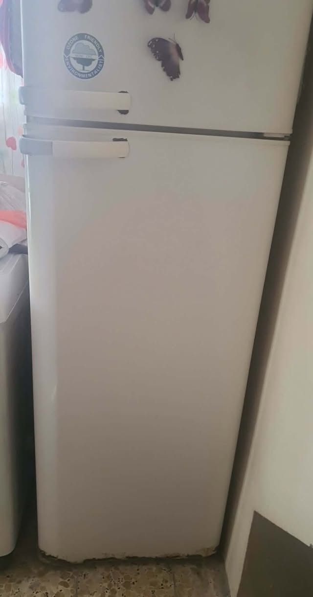 ثلاجه نضيفه ماداخله تصليح السعر 100


**إذا كنت صاحب هذا الإعلان وتريد حذفه لأي سبب، رجاءا أرسل رسالة إلى الدعم الفني**