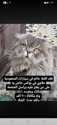 المحمودية • متفرقات