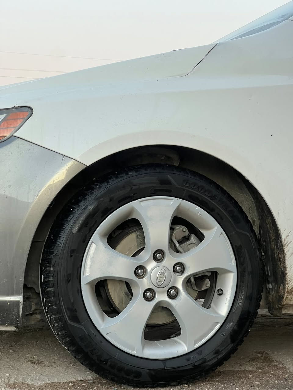 سلام عليكم تخم ويل ٥  سيراتو حجم ١٦ للمراوس مع ويل عادي مكاني نجف 
***********
