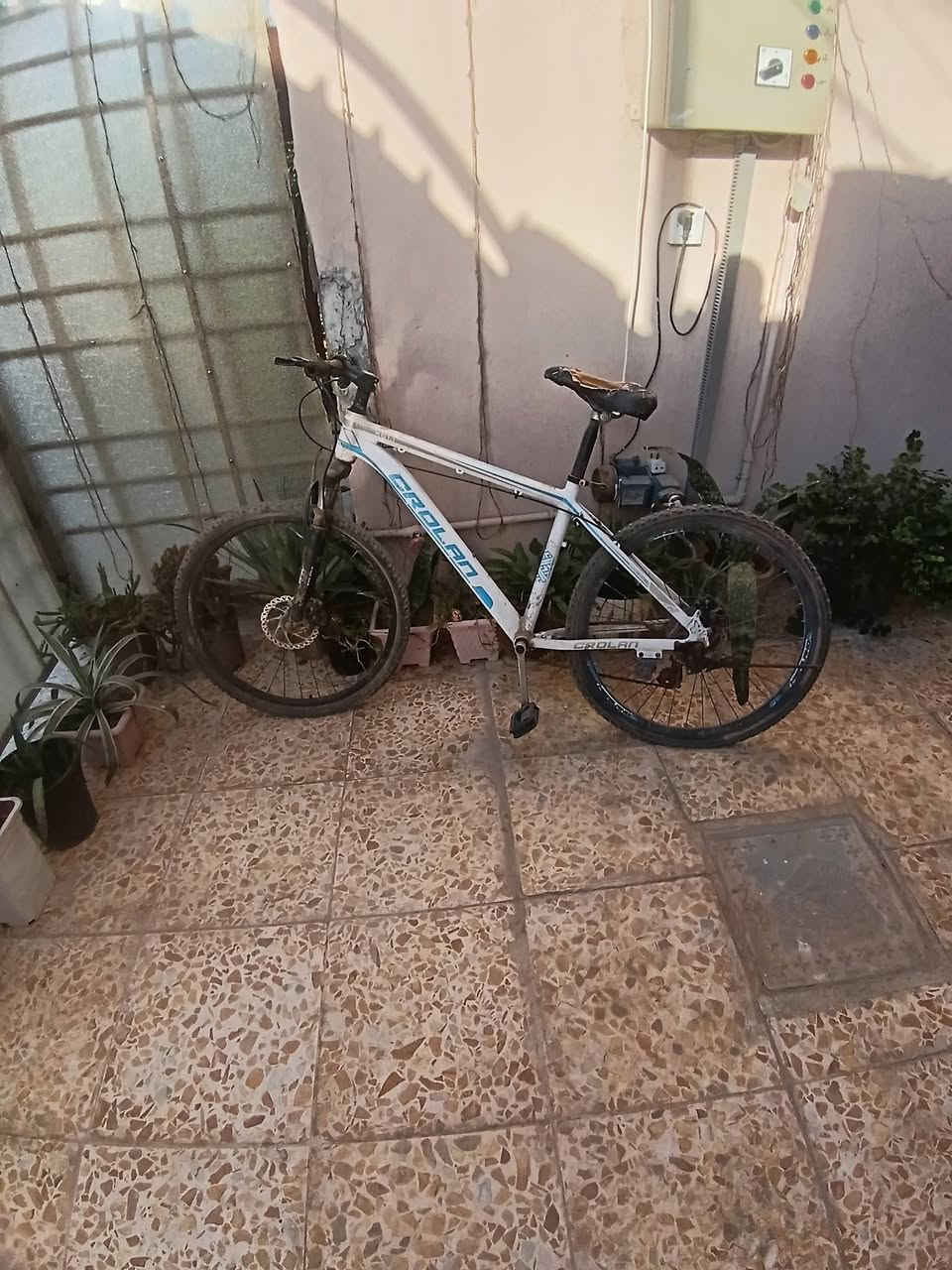 السلام عليكم بايسكل للبيع السعر ٥٠ هاتف ***********
