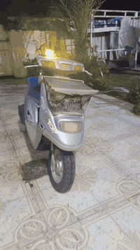 متاح دراجه ياماها للبيع دراجه نضيفه
السعر 175 وبيه مجال مكان كركوك 
رقم الهاتف ***********
