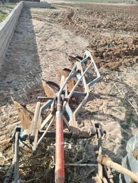 فدان للبيع حجم 16 بلير الستفسار علرقم 07807687013