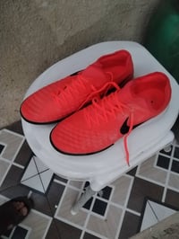 قياس 43 • ملابس • ديالى بلدروز