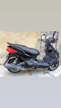 سكنس فحل • دراجة نضيفة • أوراق كاملة