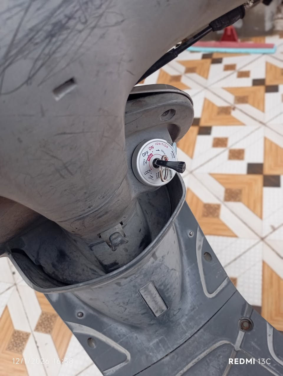 منغولي رمبة للبيع 675 وبيه مجال *********** الحمزة الغربي
