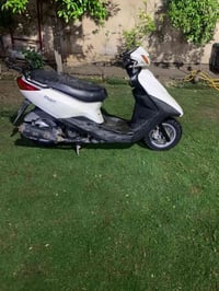 اكزز • سبانة ممدودة • جاهزة