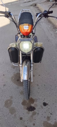 هارلي • موديل 2023 • بدون بطاريات