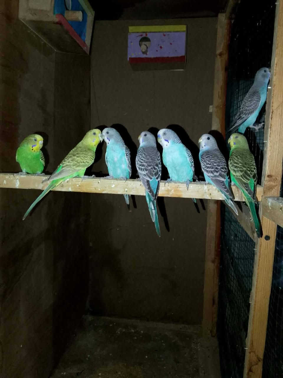 البيع سوق شيوخ


**إذا كنت صاحب هذا الإعلان وتريد حذفه لأي سبب، رجاءا أرسل رسالة إلى الدعم الفني**
