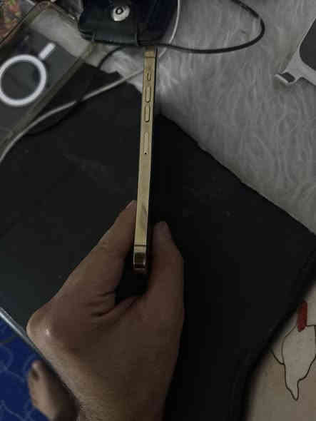 السلام عليكم 13 برو ماكس امريكي فاي جي بطارية 82 ذاكرة 256 تليفون فقط الضهر مالتة السعر 630 وبي مجال حك الجية المكان الكوت قضاء النعمانية (***********)
