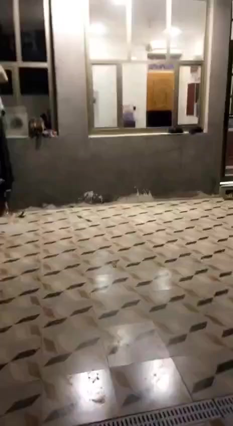 للبيع بيت 200متر ركن طابو زراعي سند 25 مي وكهرباء ومجاري تبليط قريب البيت
تفاصيل البيت
غرفتين
هول
مطبخين حار بارد
واستقبال 
صيحات داخليه و خارجيه
البيت جاهز بناء طابوك ب 90 وبي مجال
العنوان طهمازيه يباع قسط ونقد القسط 60مليون مقدمه فما فوق والاتفاق بعد المشاهده


**إذا كنت صاحب هذا الإعلان وتريد حذفه لأي سبب، رجاءا أرسل رسالة إلى الدعم الفني**