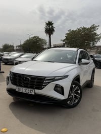 توسان خليجي • ٢٠٢٣ • ١٧٠٠٠ كم