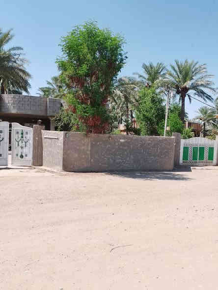 بستان 2دونم سند 25طابو تحويل باسم المشتري مع دار مع حقل دواجن الواجهه 26 والنزال 220 
تقع على شارعين بلوجه اروائي وتبليط وبلظهر شارع وبزل مي صدر التفاصيل داخل الفديو
الموقع الراشديه السوامره قرب مزرعة النخيل ***********
*********** ابو احمد
