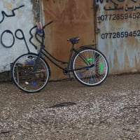 باسكل • للبيع • كوت