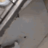 طباخ فريش مستعمل للبيع شرط الفحص نظافه ونار زركه أخو الجديد واضح بلفدي...