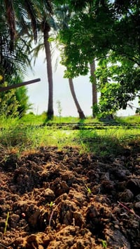 زراعي • ٥٠٠م • مجمع الاميرات