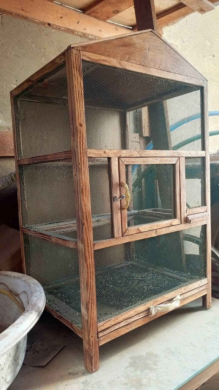 السلام عليكم... قفص للبيع عدد 2 شرط اي ضرار مابيه جديده والخشب مالهاا درجه اولى سعرها 60 بي مجال ادفع الي يرضيك اتصل *********** بي واتساب.
