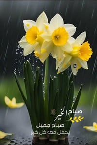 بيت للبيع • المكاسب • منزل للبيع • عقار للبيع • دار للبيع • بيت بالمكا...