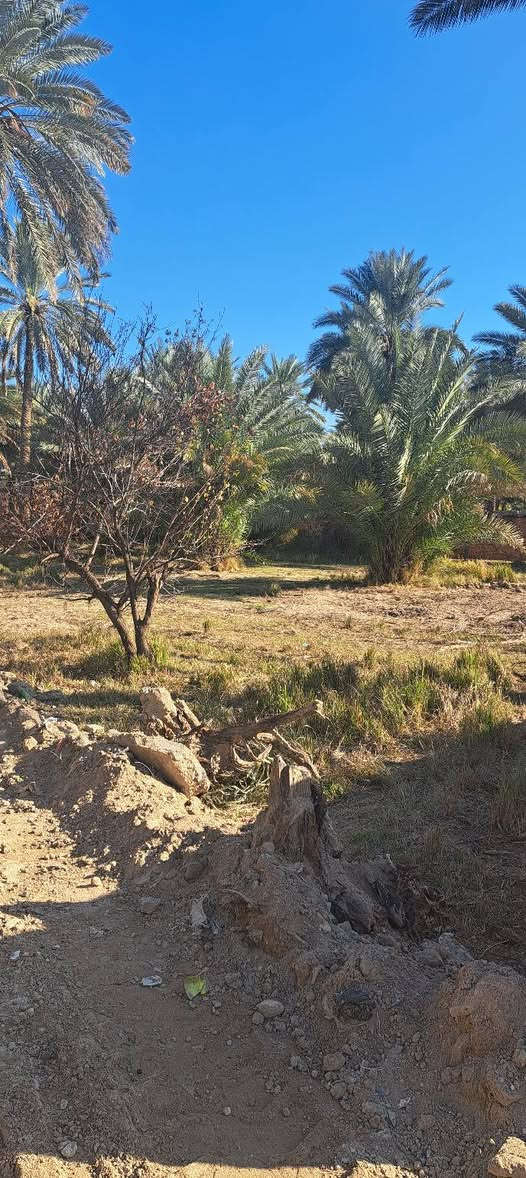 قطعة أرض مميزة للبيع – فرصة استثمارية 🟢
📐 المساحة:
🔹 ألف (1000) متر مربع
📍 الموقع:
📌 كربلاء – طريق بغداد
📌 قرب جامعة وارث الأنبياء
📌 قريب من مدينة سيد الأوصياء
📌 عامود 135
📏 الأبعاد:
🔸 الواجهة: 44 متر
🔸 النزال: 25 متر
🛣 الشارع:
🚧 تبليط كله 
🚧 المتبقي ٣٥ ترابي 
💰 السعر:
١٩٠مليون دينار عراقي
🔻 قابل للتفاوض الجدي
📲 للتواصل والاستفسار:
📞 ***********
💬 واتساب متوفر
🔔 الأرض مناسبة للسكن أو الاستثمار
🔔 موقع حيوي وقريب من أهم المعالم
