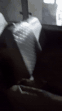 , فتون 2009 بدون راعي رقم احمر واسط  
***********
