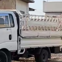 محجل فصال • نينوى • اخو الجديد