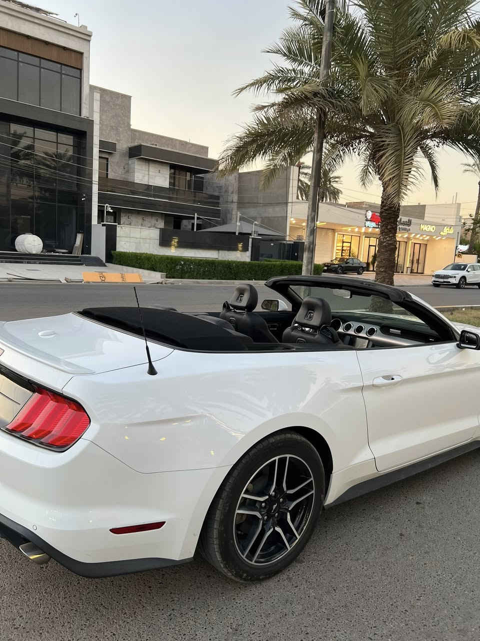 السلام عليكم
موستنك موديل 2023 كشف لون ابيض 🏎️

ماشيه ٣٣ 

فول مواصفات 

حادثها بسيط بدون ايرباك 

موضح بالصور التعديل مالتها 

صبغ بيها بس راس البنيد ورأس الجاملغ 

عنواني بغداد - السيدية 

السعر ب ١٧٨

رقمي *********** وبي واتساب

