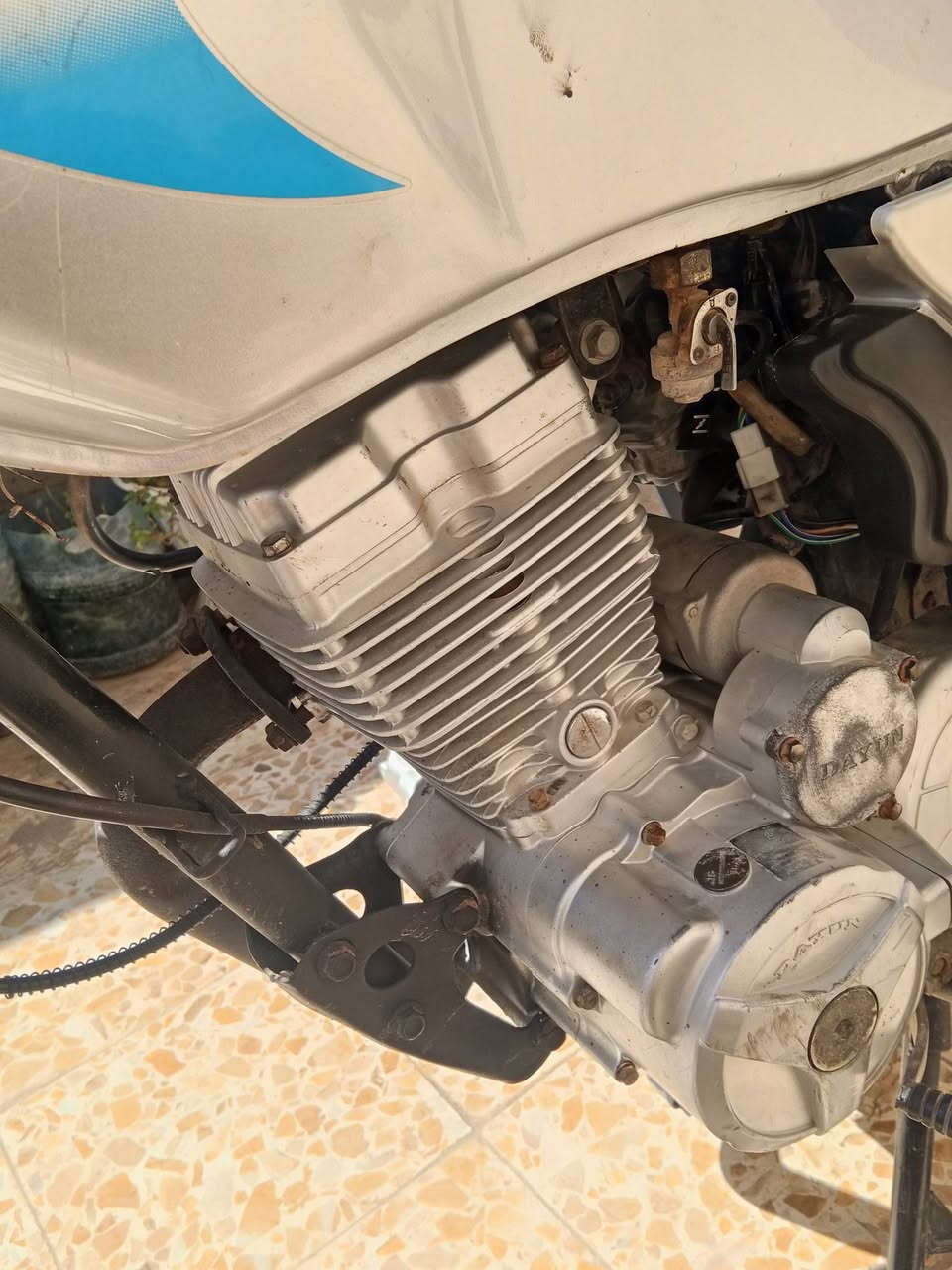 اخوان دراجه مديل 19شوفت عينكم سبعمي اوخمسين بيه مجال مو شراي لتطي سعر مكان حي العامل ***********
وتساب
