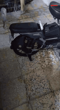 سلام عليكم دراجه شحن للبيع دراجه جديده بس بيه ملاحضات قليله الدراجه نضيفه بطاريات جدد جدد سالي شهر من شادهن ابو الولد شديتهن الدراجه نشافته 95/100بيه فطور بلكفرات ولدراجه كله شغاله ماكو شي بيه واكف ونقصه بس سكليتر تبدله هيه تمشي مابيه شي بس نقصه سكليتر عطل فا الظراجه هاي كدامك عالي ناصي نشرات تايرات جدد عداد تشتغل 4سرعات تمشي99 الدراجه ديده ويعني نضيفه ولي تفيدي يجي خاص او هاذه رقمي *********** وعارضه ب275وبيه مجال للطيبين ♥
