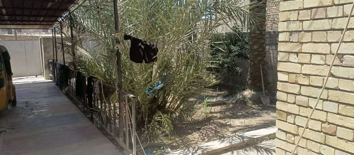 سلام عليكم بيت للبيع الامين الثانيه خلف السده مساحه 270متر وجه 9500متر
ونزال 29 
يتكون من 2غرف نوم مساحتهن جبيره واستقبال وهول وخدمات البيت يحتاجله ترميم بسيط للاستقبال  والهول فقط 
*********** 
***********
متوفر واتساب للاستفسار
