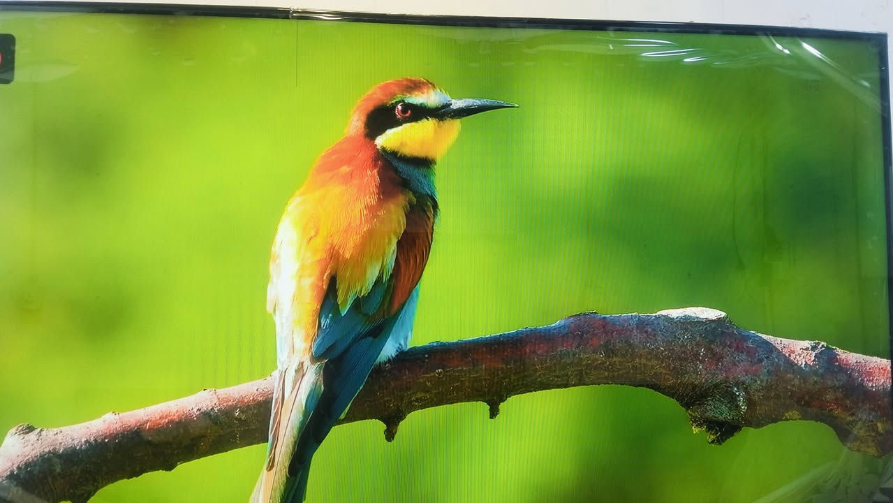 شاشه حجم 43سمارت وانترنيت فول موصفات سعر 100الف تابع الفيديو


**إذا كنت صاحب هذا الإعلان وتريد حذفه لأي سبب، رجاءا أرسل رسالة إلى الدعم الفني**