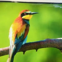 شاشة ٤٣ • سمارت • فول مواصفات