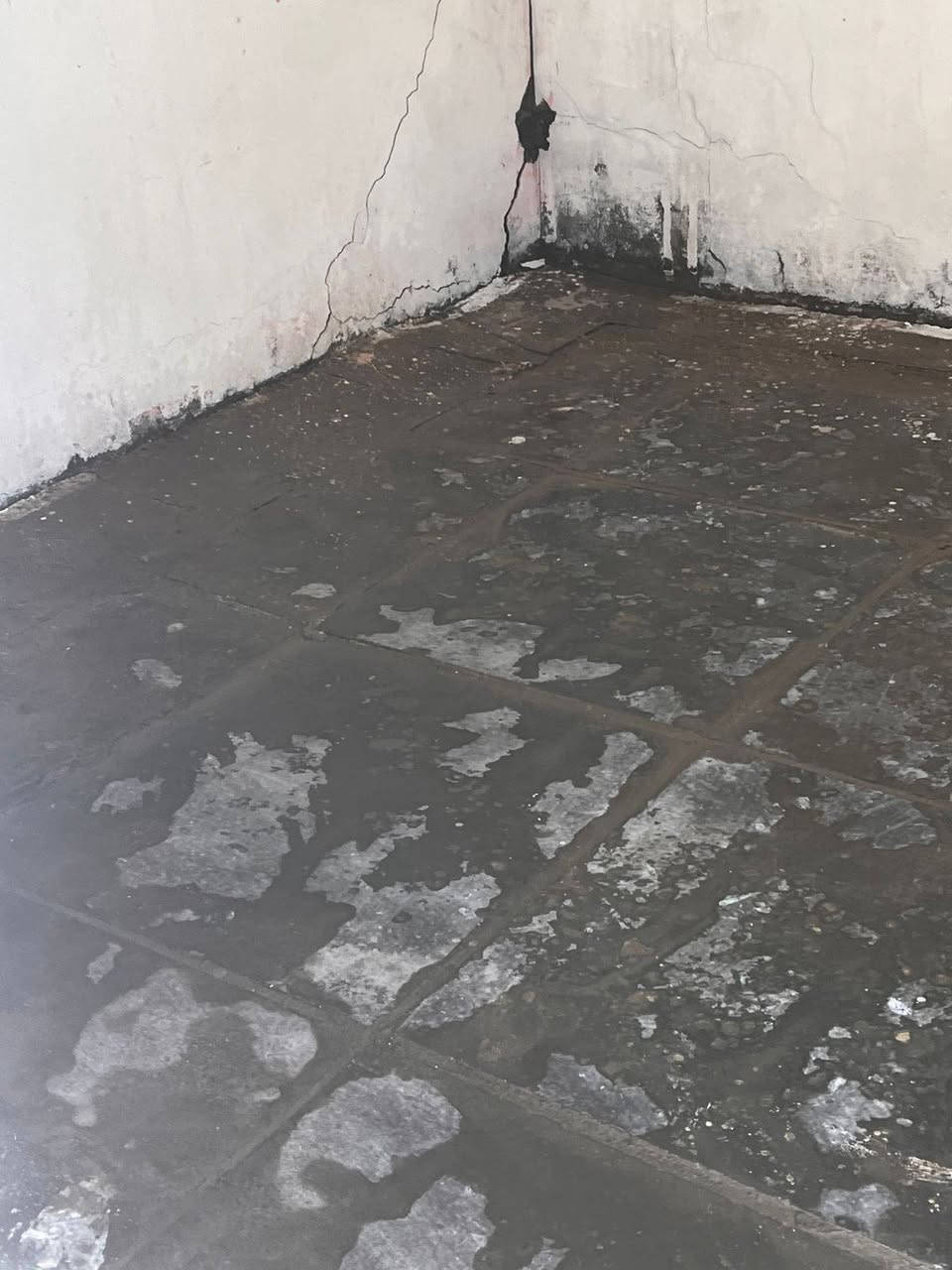 يالله 
السلام عليكم 
بيت زراعي للبيع 
المساحة(125)م
البيت بي غرفة ومطبخ وصحيات 
بي ساحة فارغة إذا تريد تكمل البنيان
الموقع (حي ابو سكينة)
نوع الدار (زراعي )
الدار بحاجة إلى ترميم بسيط 
للاستفسار الاتصال على الرقم (***********)
أو المراسلة على الخاص
