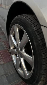 شاهينا • داخل جلد • البصرة