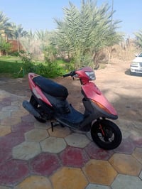 ماكس • أحمر • كفالة عامة