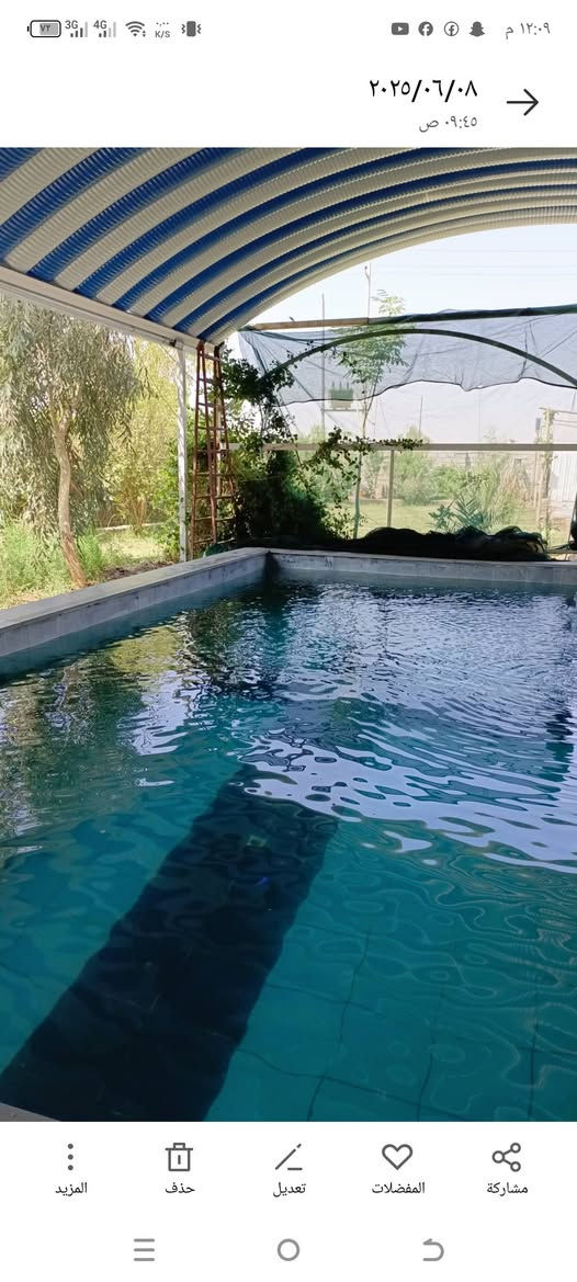 للبيع مزرعه دونم علي شط الصب قريب الثقيه  مع محوله خاص مع بيت مع نخل برحي ومكتوم 50نخله مع مسبح موبيل ***********السعر 150بيع مستعجل
