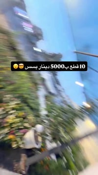 الفلوجة • مشتل سما الربيع • نباتات داخلية وخارجية