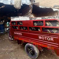 ستوته • موديل ٢٠٢٢ • أوراق كاملة