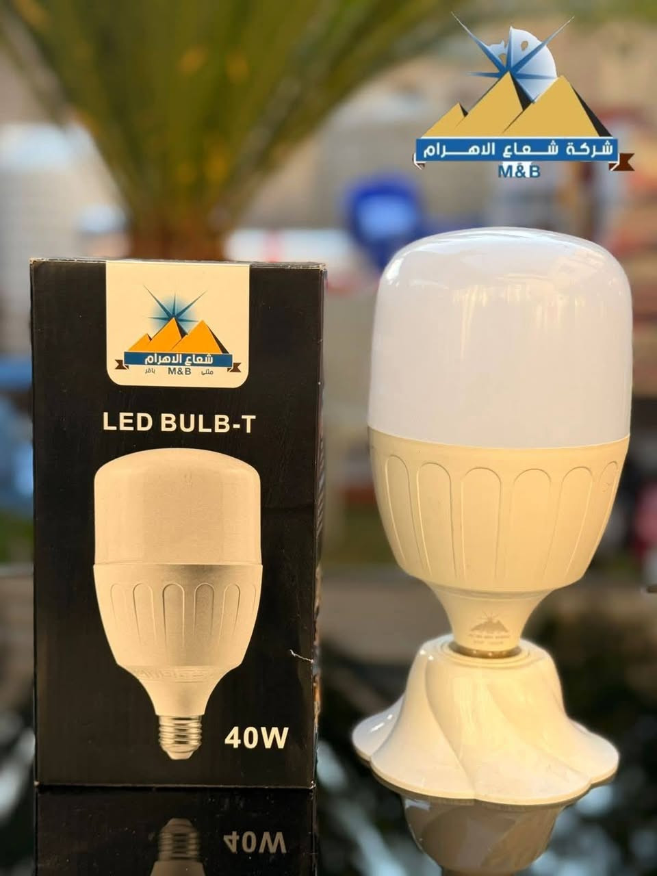 ان ارضيناك تحدث عنا
وان لم نرضيك تحتدث الينا.


**إذا كنت صاحب هذا الإعلان وتريد حذفه لأي سبب، رجاءا أرسل رسالة إلى الدعم الفني**