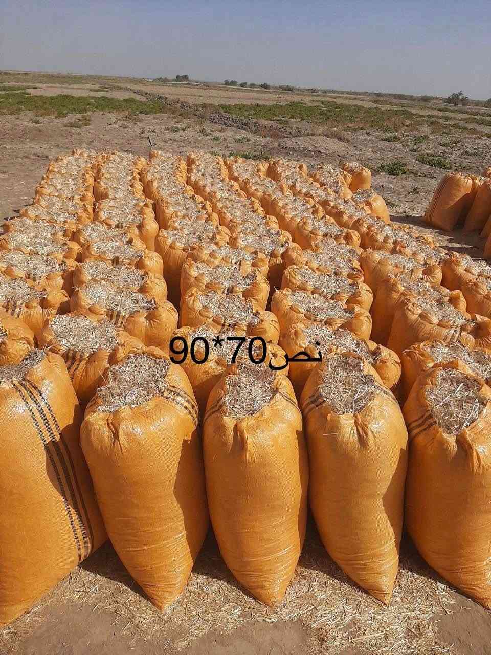 تخفيضات وبأنسب الاسعار اتصال وتدلل خاص لعروض ليوم تفليش تبن نضيف خال من شوائب
وتوصيل مجاني يوجد تبن
 نضيف + ابيض + الكبسه مال الكله 
مال الحاصوده الفوك + يوجد توصيل
 ديالى + بغداد + واسط الكوت
 بابل الحله + كربلاء + نجف
 ديوانيه + السماوه للاتصال والاستفسار
  متواجد واتساب وماسنجر
 وخطي *********** او ***********
