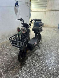 دراجه شحن حجم 14 شركه الريان الدراجه مكفول كفاله عامه السعر 450 قفل قف...